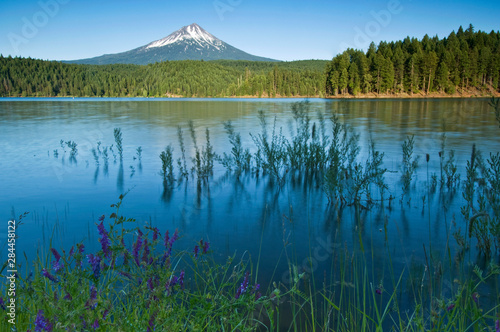 USA, OR, Mt. McLoughlin from Willow Lake photo