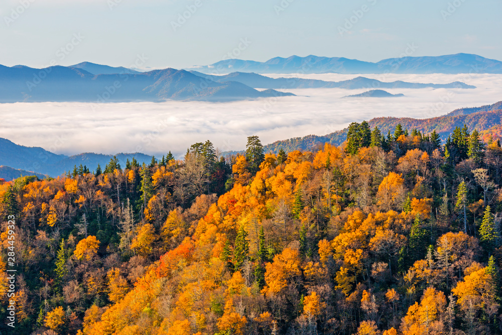 Tennessee, Great Smoky Mountains National Park, Newfound Gap