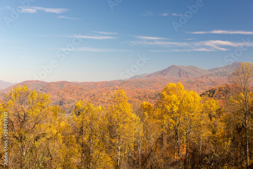 Usa  Tennessee. Fall color Smoky Mountain National Park from Maloney Overlook on Little River Road