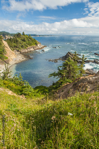 South Cove at low tide as seen from Cape Arago.