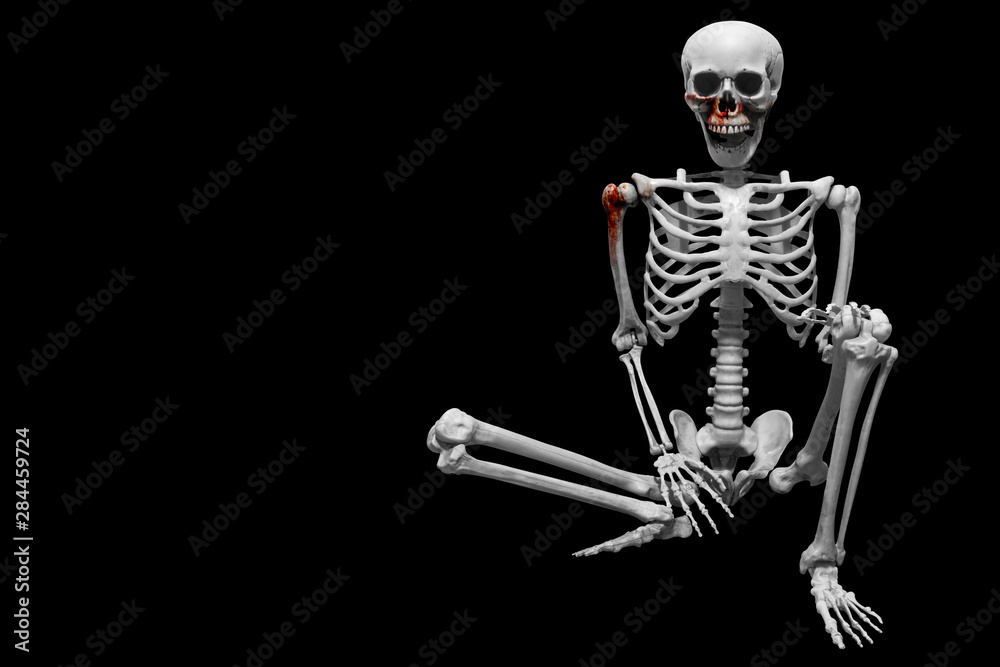 Fake human skeleton sitting on black background
