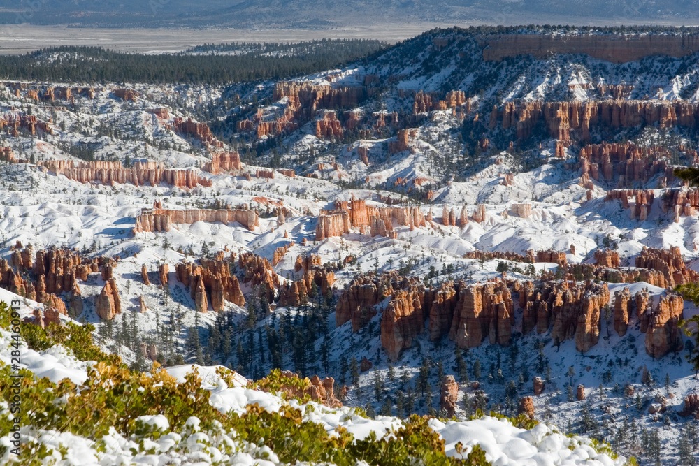 USA - Utah. Pillars of limestone at Bryce Canyon National Park after snowstorm at sunrise.