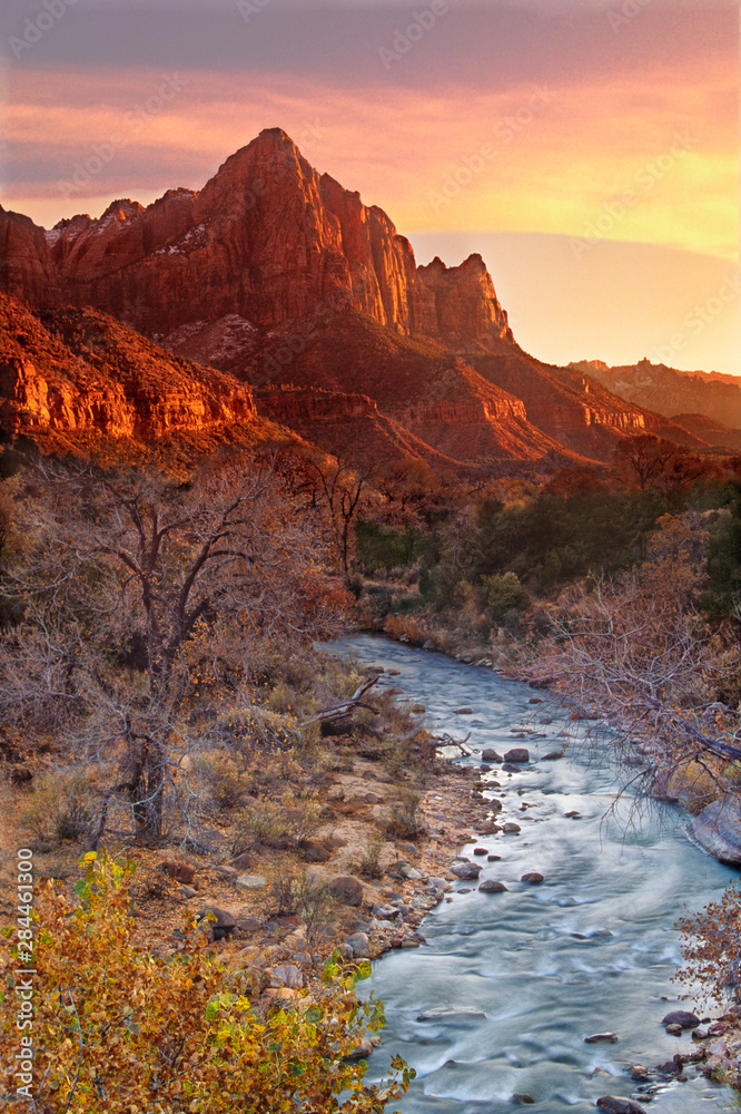 Obraz premium USA, Utah, Zion National Park. The Watchman and Virgin River at sunset. 