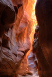 Utah, Paria Canyon-Vermillion Cliffs Wilderness, Buckskin Gulch, 21 mile long slot canyon, Narrow slot of Buckskin Gulch with reflected light
