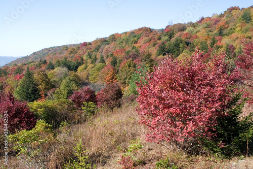 USA - Virginia. Fall color in Grayson Highlands State Park and trail to Mt. R...