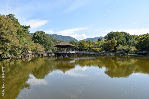 奈良公園　浮見堂 © ndk100