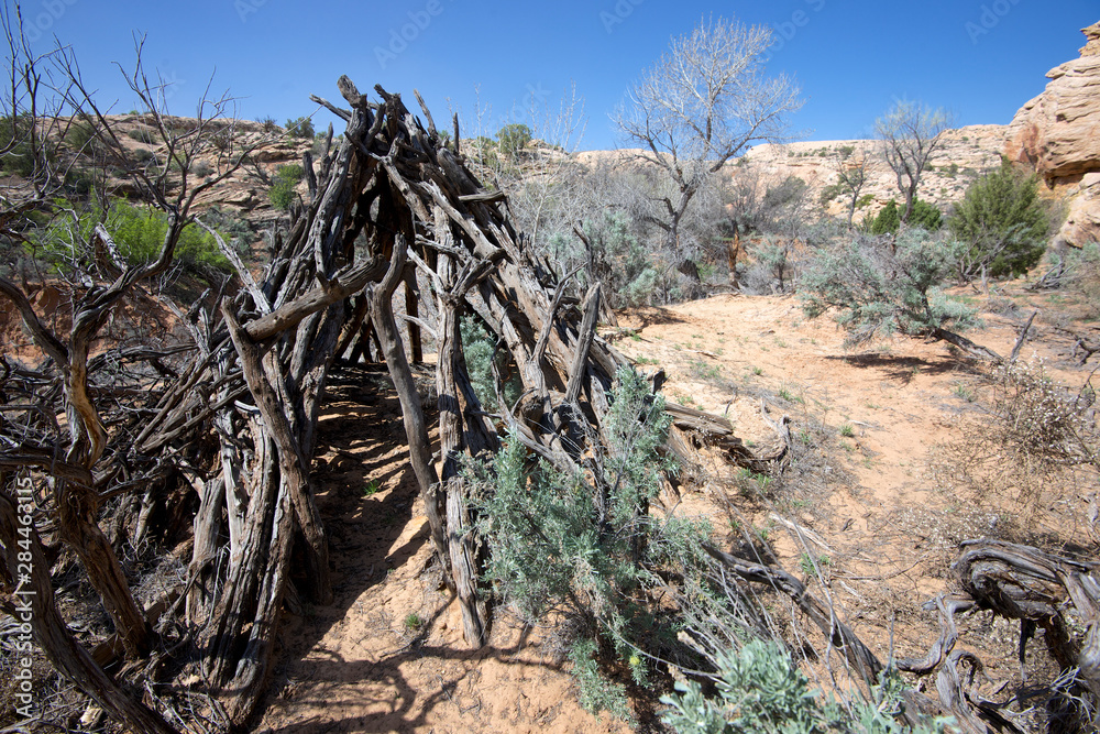 Double Stack Anasazi ruin in Butler Wash, Cedar Mesa, Utah. The ruins are for the most part a well-kept secret to avoid vandalism. A 200 year-old Navajo wikiup in the Double-Stack canyon.