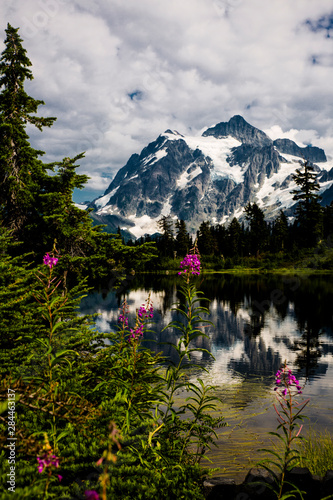 Mount Shuksan and Heather Meadows  Mount Baker Snoqualmie National Forest  Washington