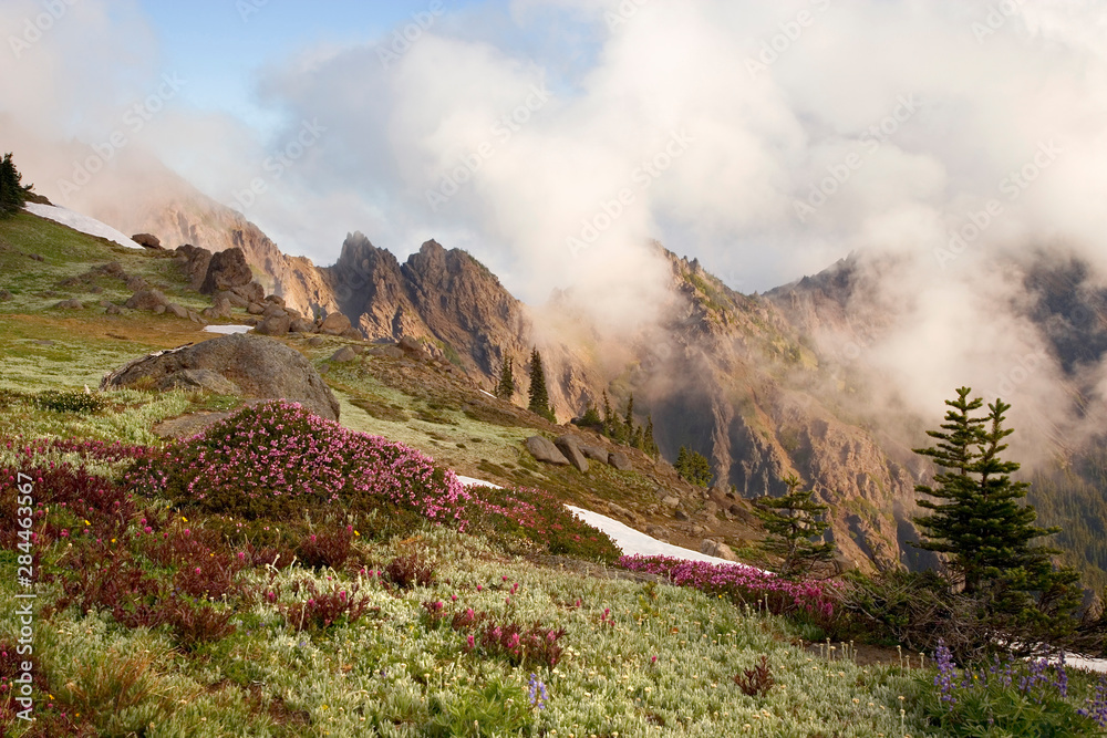 USA, Olympic National Park. Clouds form over meadow and Klahhane Ridge. 