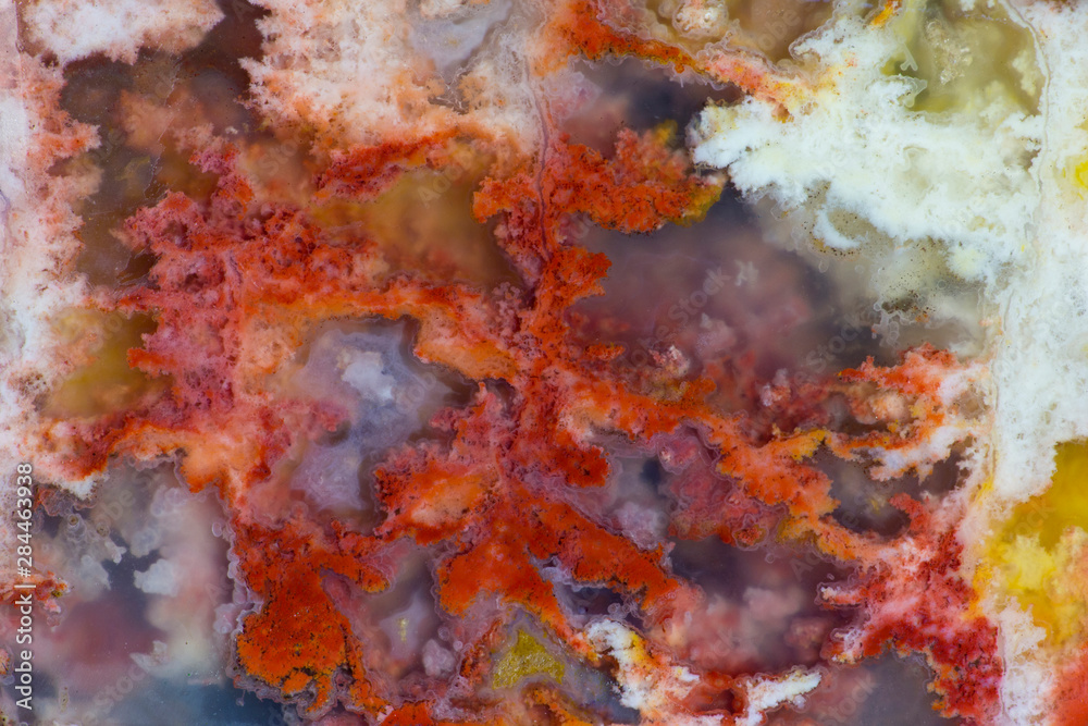 Carey Plume Agate, Fox Island WA.