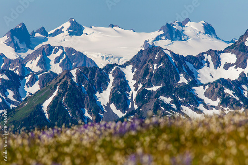 Фотография Olympic National Park, Hurricane Ridge