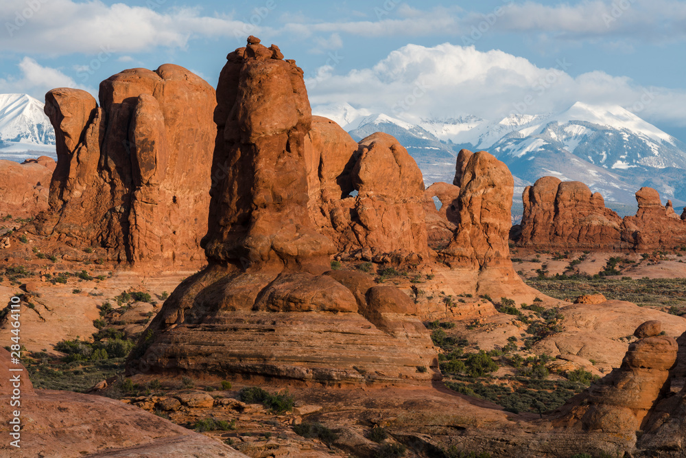 Utah. afternoon light illuminates red sandstone formations near the windows section in Arches National Park, with the snow-covered La Sal mountains in the background.