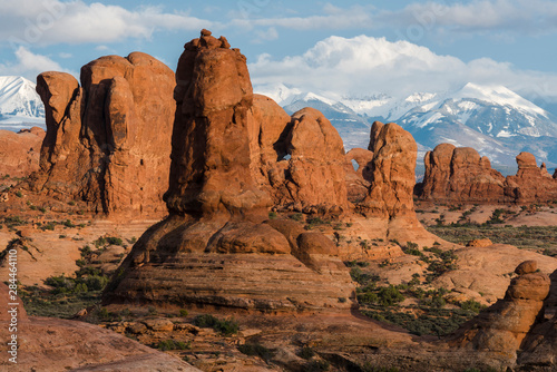 Utah. afternoon light illuminates red sandstone formations near the windows section in Arches National Park, with the snow-covered La Sal mountains in the background.