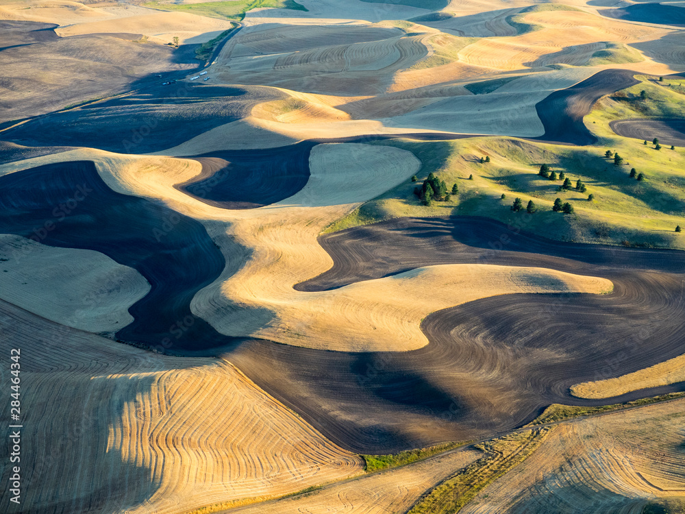 Fototapeta USA, Washington State, Palouse, Whitman County. Aerial photography at harvest time in the Palouse region of Eastern Washington.