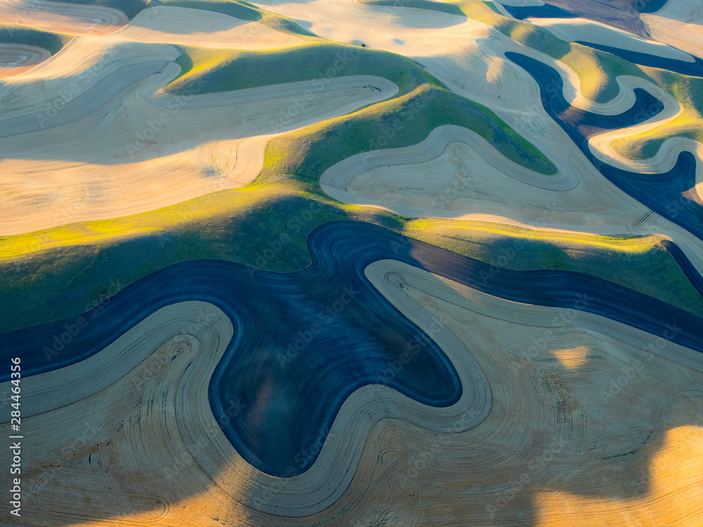 Fototapeta USA, Washington State, Palouse, Whitman County. Aerial photography at harvest time in the Palouse region of Eastern Washington.