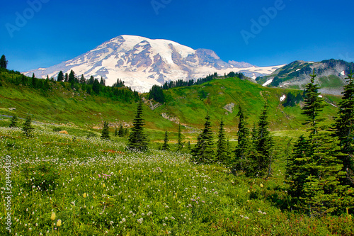 USA, Washington State, Mount Rainier National Park. Mount Rainier and wildflowers in meadow. Credit as: Jean Carter / Jaynes Gallery / DanitaDelimont.com