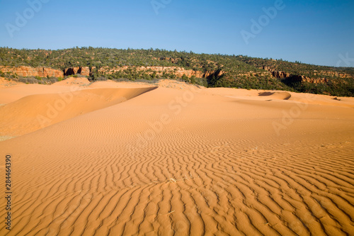 UT  Coral Pink Sand Dunes State Park  dunes created from eroding Navajo sandsone  wind formed ripple pattern