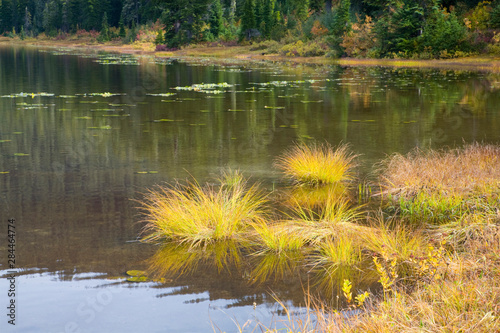 WA, Henry M. Jackson Wilderness, Lake Janus, colorful autumn foilage photo