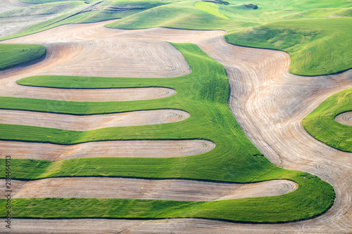 USA, Washington State, Whitman County. Aerial photography in the Palouse region of Eastern Washington. photo