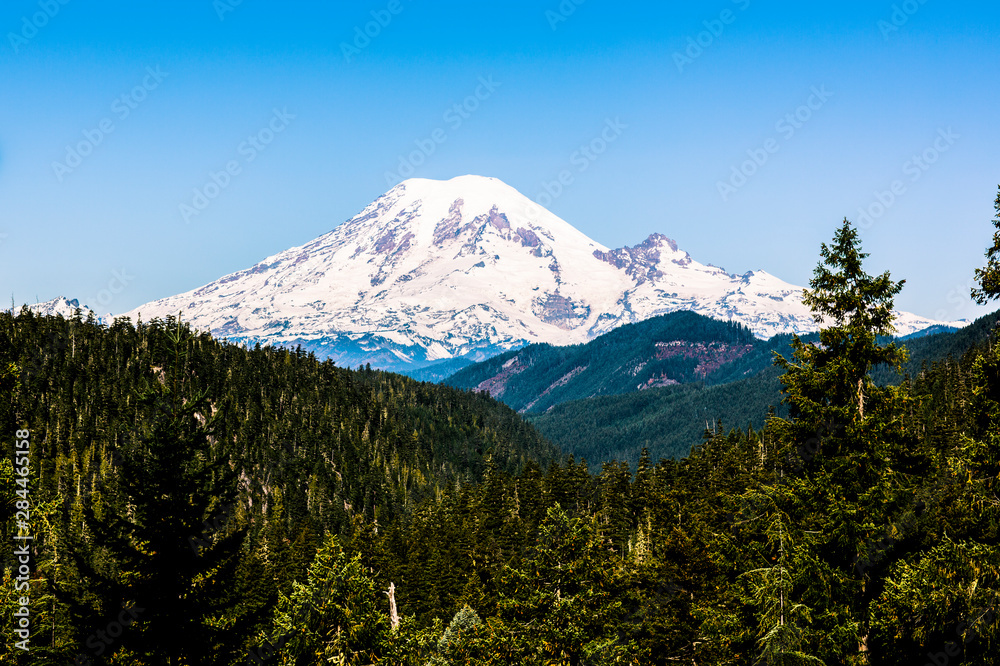 Mount Rainier National Park, Washington State. Mount Rainier and Evergreen Forest at White Pass