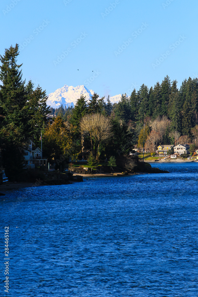 Manchester, Washington State. Snow covered Brothers Mountains and seagulls peak over evergreens and the Puget Sound