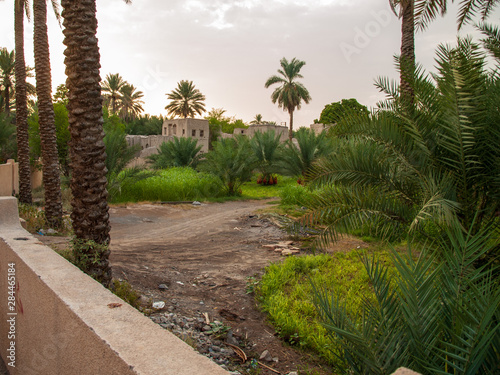 Fototapeta Naklejka Na Ścianę i Meble -  Paisajes en Nizwa, Oman
