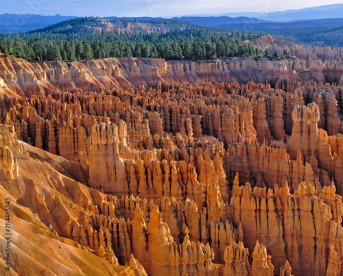 USA, Utah, Bryce Canyon NP. The striking hoodoos of Bryce Canyon National Park, Utah, look like a mass gathering of subjects before their king.