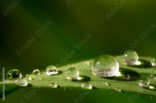 Close-up of water droplets on blades of grass.