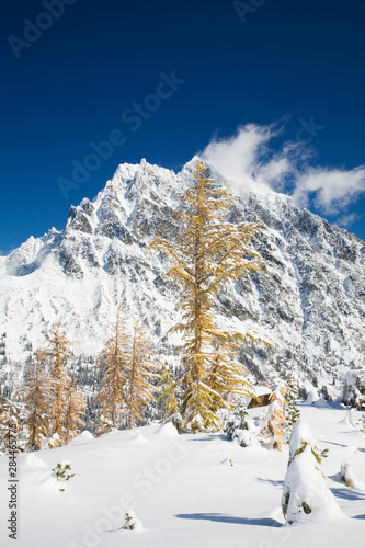 WA, Alpine Lakes Wilderness, Mount Stuart, with golden larch trees and fresh snow