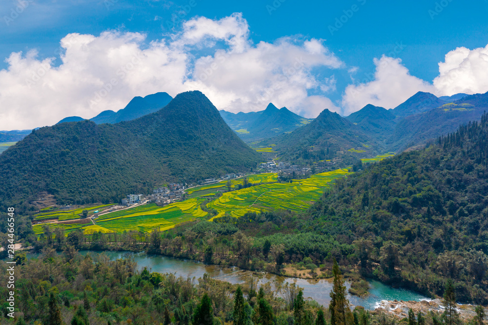 The Panorama Top view Yellow Flowers of Rapeseed fields with stream Jiulong Waterfalls and mountain in background at Luoping,Yunnan, China
