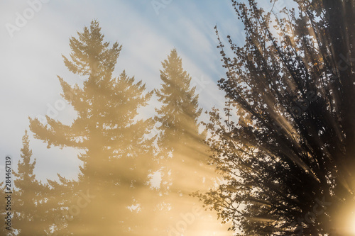 USA, Washington State, Seabeck. Sun breaking through morning fog. Credit as: Don Paulson / Jaynes Gallery / DanitaDelimont.com photo