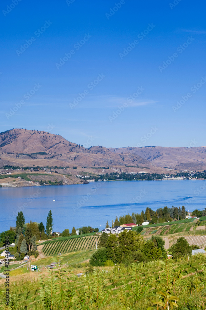 NA; USA; Washington; Vineyard on Lake Chelan