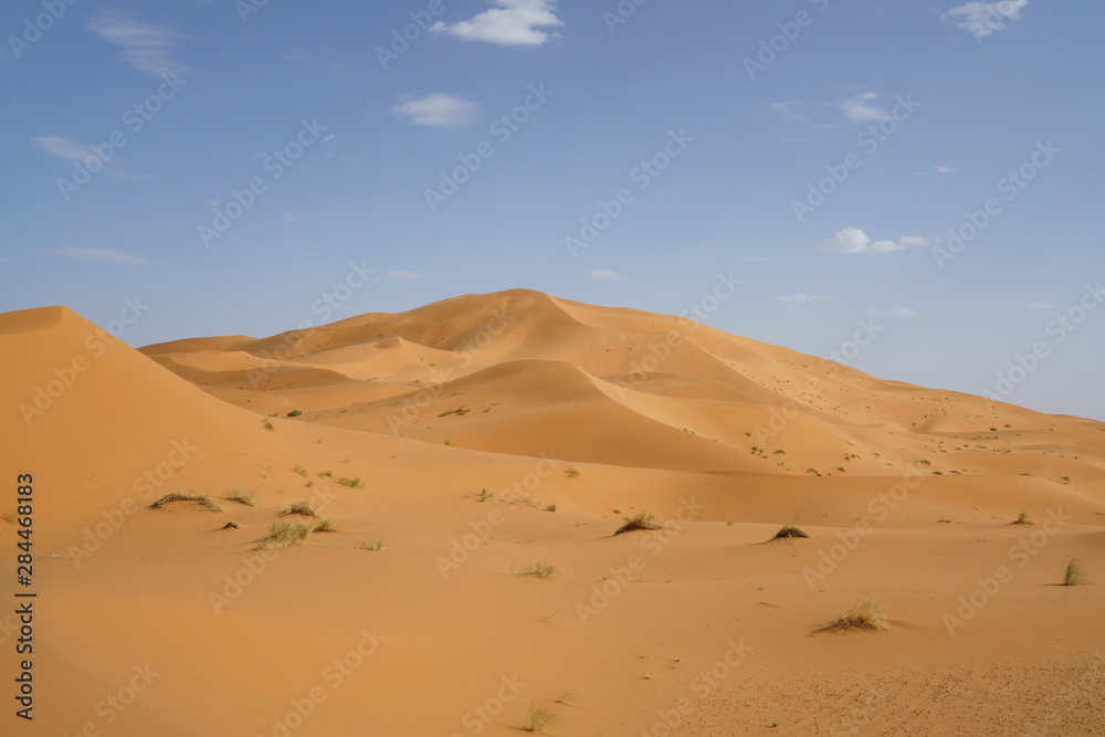 Sahara desert in marocco