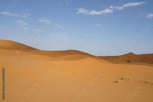 Sahara desert in marocco