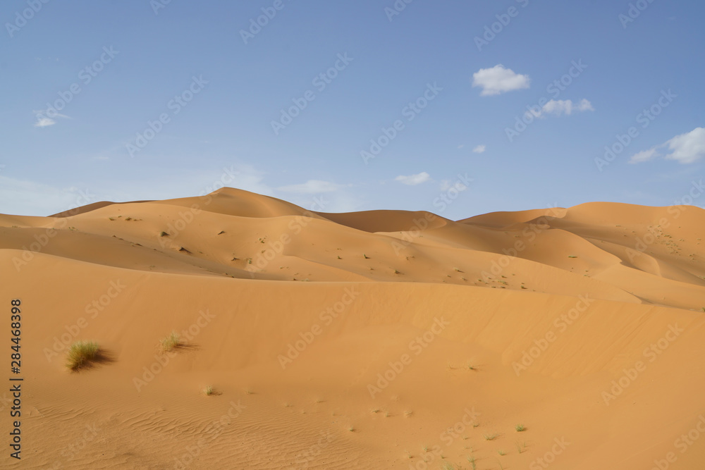 Sahara desert in marocco