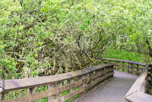 Usa, Washington State, Grays Harbor National Wildlife Refuge. Sandpiper Trail boardwalk