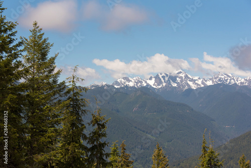 USA, Washington State, Olympic National Forest. View from Mt. Walker trail to Olympics