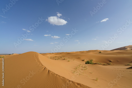 Sahara desert in marocco