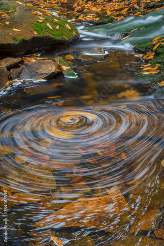 USA  West Virginia  Blackwater Falls State Park. Whirlpool in stream. Credit as  Jay O Brien   Jaynes Gallery   DanitaDelimont.com