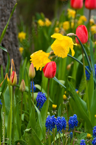 Bright spring garden creates elegant natural bouquet photo