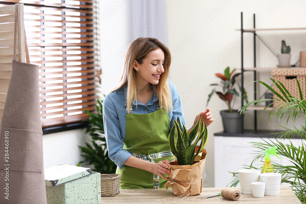 Young woman taking care of houseplant indoors. Interior element