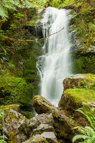 Olympic National Park Lake Quinault, Washington. Merriman Falls. photo