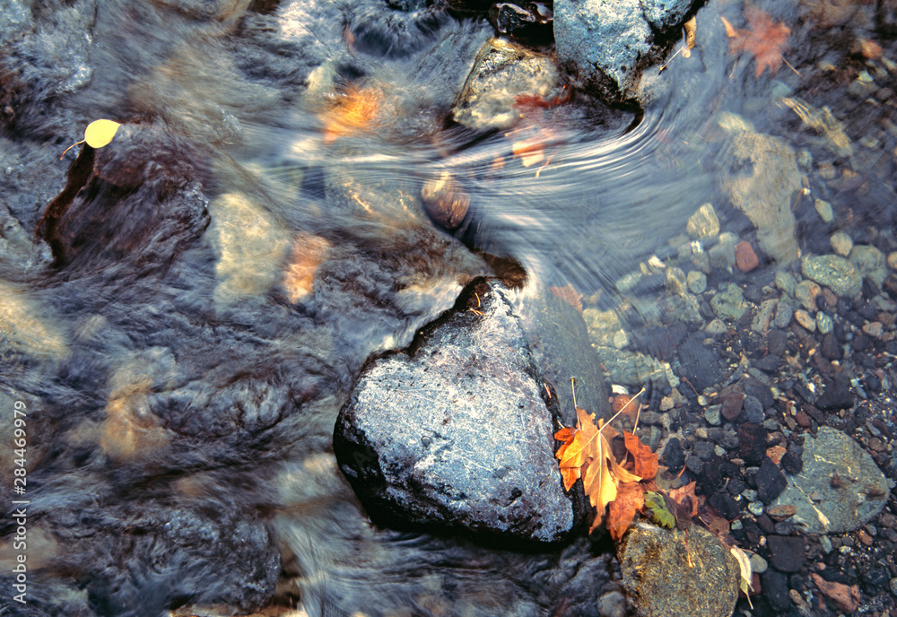 Fototapeta premium USA, Washington State, Dryden Creek. Dryden Creek creates a variety of color and texture in the Cascades Range, Washington