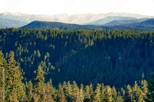 USA  Washington State  Cascades Range. The Cascades Range spreads north from McClellan overlook  Gifford Pinchot NF  Washington State.
