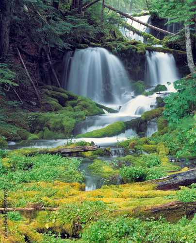 USA, Washington State, Mt Adams Wilderness. Big Spring Creek cascades over fallen timbers in the Mt Adams Wilderness in Washington State. photo