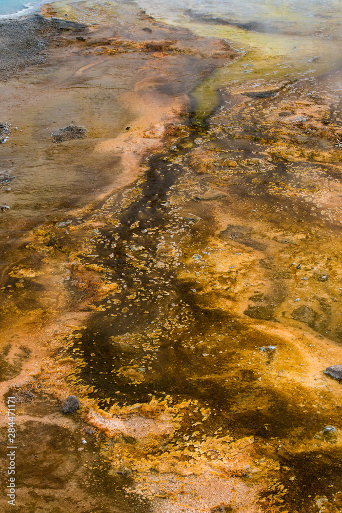 USA, Wyoming. Steamy run-off and bacteria matt from Silex Springs, Lower Geyser Basin, Yellowstone National Park.