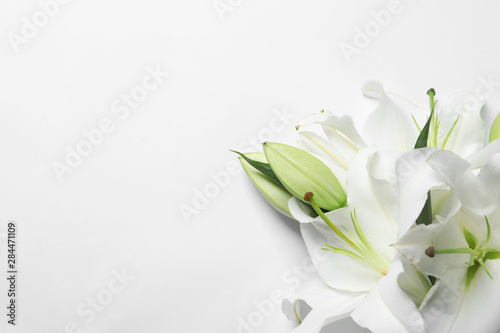 Beautiful lilies on white background, top view photo