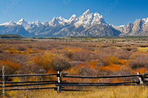 Autumn color, Grand Tetons, buck and rail fence, from Cunningham Cabin, Grand Teton National Park, Wyoming, USA