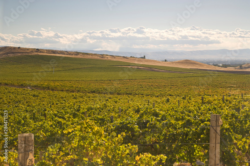 View from Silver Lake at Roza Hills Winery, Rattlesnake Hills Wine Trail, Yakima Valley, Eastern Washington State, USA 
