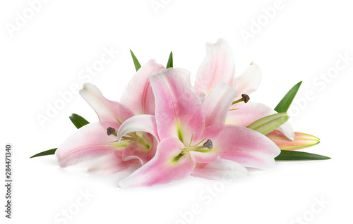 Fototapeta Naklejka Na Ścianę i Meble -  Beautiful fresh pink lilies with leaves on white background